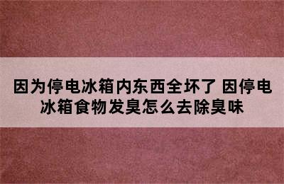 因为停电冰箱内东西全坏了 因停电冰箱食物发臭怎么去除臭味